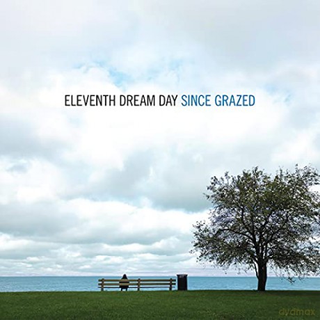 Eleventh Dream Day: Since Grazed (2lp/Dl Card) [Winyl]