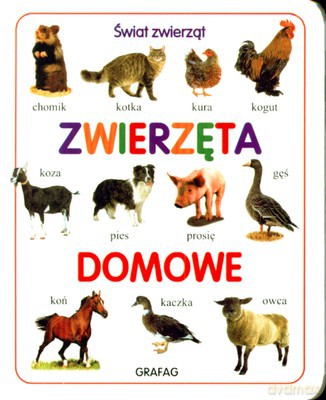 Świat Zwierząt Zwierzęta Domowe (twarda) [KSIĄŻKA]