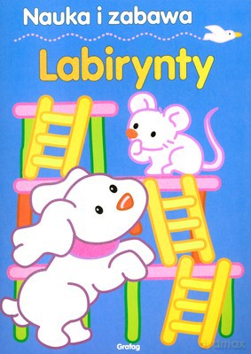 Labirynty Nauka I Zabawa [KSIĄŻKA]