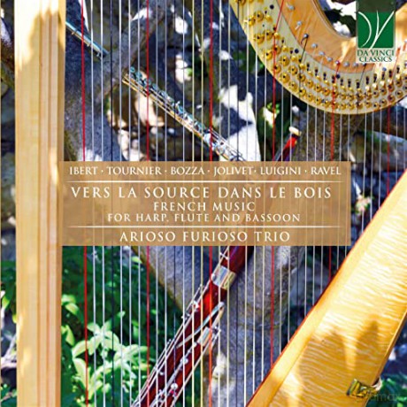 Arioso Furioso Trio: Vers La Source Dans Le Bois - French Music For Harp, Flute And Bassoon [CD]