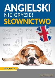 Angielski. Słownictwo. Nie gryzie! - Magda Jachimiak [KSIĄŻKA]