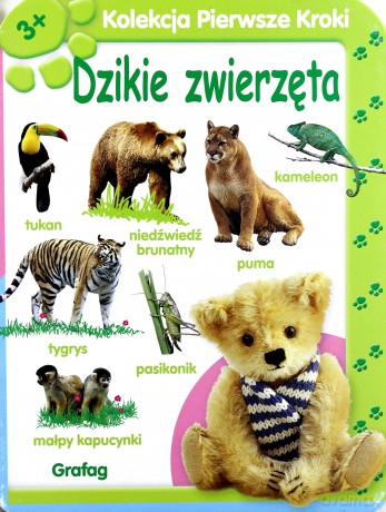 Kolekcja Pierwsze Kroki Dzikie Zwierzęta (twarda) [KSIĄŻKA]