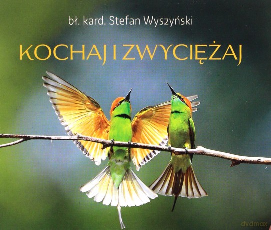 Kochaj i zwyciężaj. Perełka 235 - NW Wyszyński [KSIĄŻKA]
