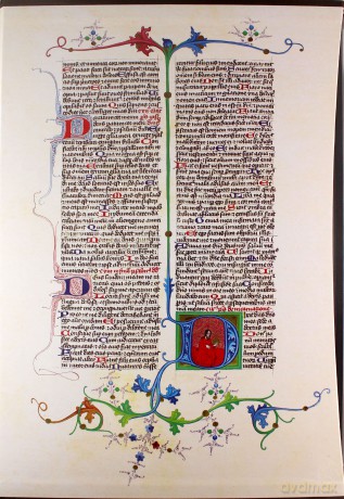 Biblia jubileuszowa - brąz [KSIĄŻKA]