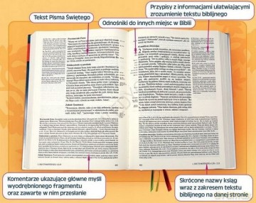Biblia Stary Testament i Nowy Testament limit. (bordowa) z paginatorem [KSIĄŻKA]