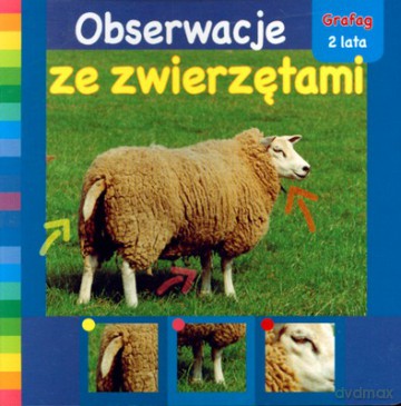 Obserwacje Ze Zwierzętami (twarda) [KSIĄŻKA]