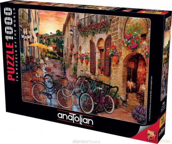 ANATOLIAN 1000 el. Wycieczka rowerowa po Toskanii [PUZZLE]