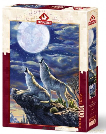 ARTPUZZLE 1000 el. Pełnia księżyca [PUZZLE]