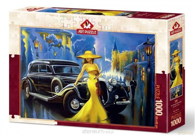 ARTPUZZLE 1000 el. Piękna noc [PUZZLE]