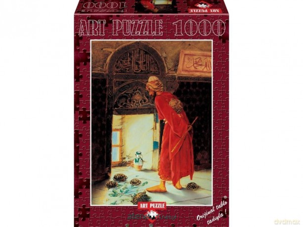 ARTPUZZLE 1000 el. Trener żółwi [PUZZLE]