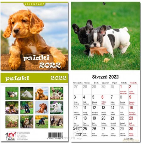 Kalendarz 2022 13 plansz Psiaki [KALENDARZ]