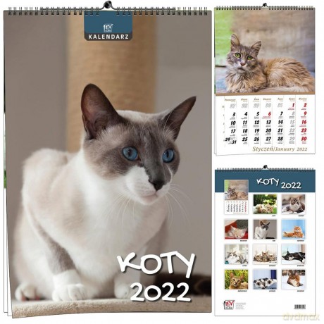 Kalendarz 2022 B3 7 plansz Koty [KALENDARZ]