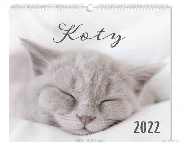 Kalendarz 2022 planszowy 33,5x40 Koty [KALENDARZ]