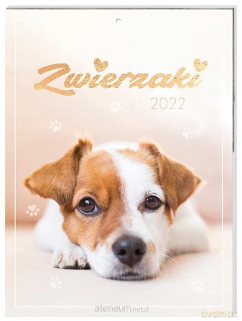 Kalendarz 2022 ścienny 31x23 Zwierzaki [KALENDARZ]