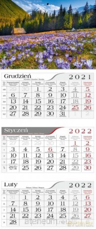 Kalendarz 2022 Trójdzielny Krokusy CRUX [KALENDARZ]