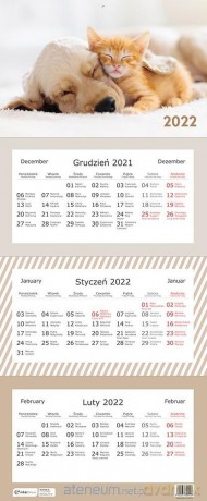 Kalendarz 2022 trójdzielny Zwierzaki [KALENDARZ]