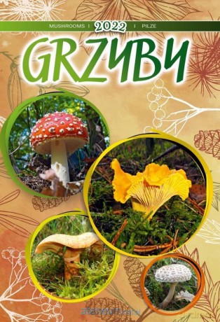 Kalendarz 2022 Wieloplanszowy Grzyby CRUX [KALENDARZ]
