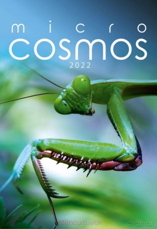 Kalendarz 2022 Wieloplanszowy Micro cosmos CRUX [KALENDARZ]