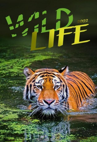 Kalendarz 2022 Wieloplanszowy Wilde Life CRUX [KALENDARZ]