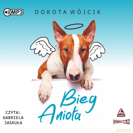 Bieg Anioła - Dorota Wójcik [AUDIOBOOK]