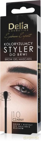 Delia Cosmetics Eyebrow Expert Koloryzujący Styler do brwi 1.0 czarny 11ml