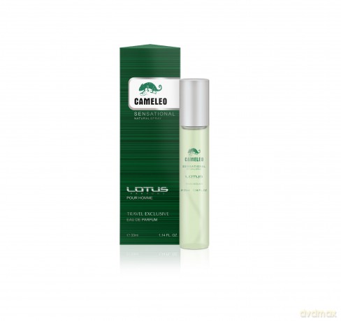 REVERS 33ml 058 Cameleo Senstional