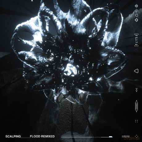 Scalping: Flood Remixed [Winyl]