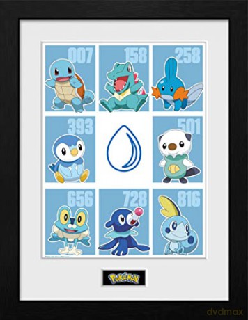 Pokemon: Pokemon First Partners Water Framed Print 30 cm X 40 cm