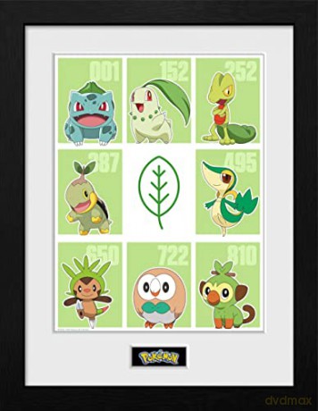 Pokemon: Pokemon First Partners Water Framed Print 30 cm X 40 cm