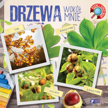 Drzewa wokół mnie. Rosnę i odkrywam [KSIĄŻKA]