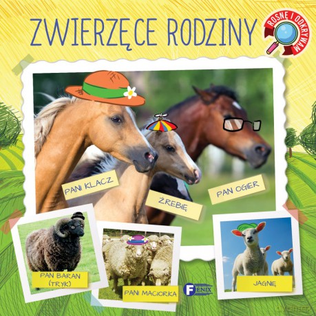 Zwierzęce rodziny. Rosnę i odkrywam [KSIĄŻKA]