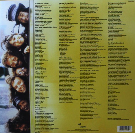 The Waterboys: Room To Roam (Half Speed Master) [2xWinyl]