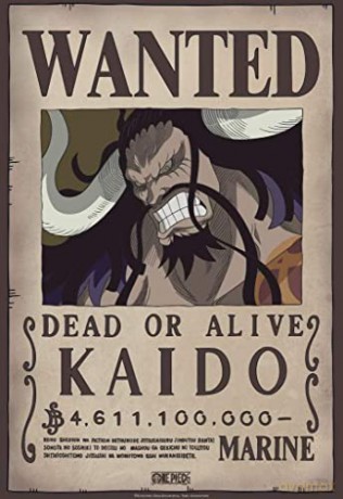 ONE PIECE - Poster Wanted Kaido (52x35)