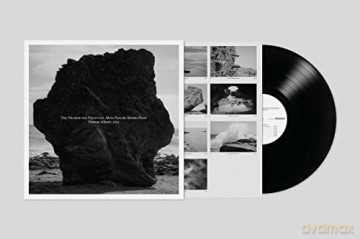 Damon Albarn: The Nearer The Fountain More Pure The Stream Flows [Winyl]