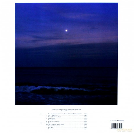 Damon Albarn: The Nearer The Fountain More Pure The Stream Flows [Winyl]