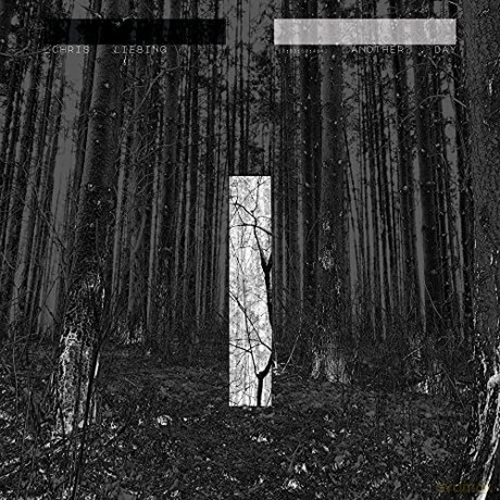 Chris Liebing: Another Day  [CD]