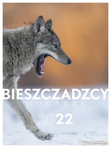 Bieszczadzcy mocarze 2022. Kalendarz wilk [KALENDARZ]