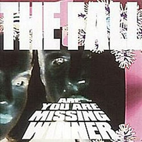 Fall: Are You Are Missing Winner [4CD]