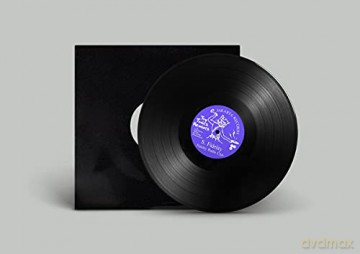 S. Fidelity: Fidelity Radio Club - Toy Tonics Remixes EP [Winyl]