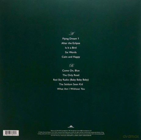 Elbow: Flying Dream 1 [Winyl]