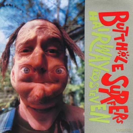 Butthole Surfers: Hairway To Steven (Love Record Stores 2021) [Winyl]