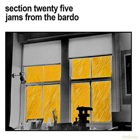 Section 25: Jams From The Bardo [CD]