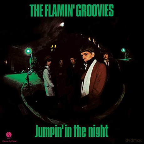 Flamin Groovies: Jumpin In The Night [Winyl]