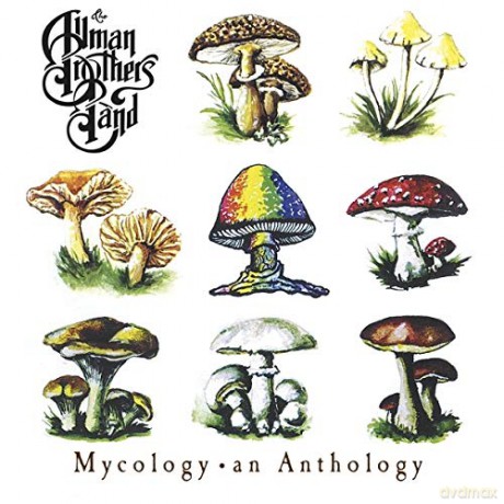 Allman Brothers Band: Mycology An Anthology [CD]