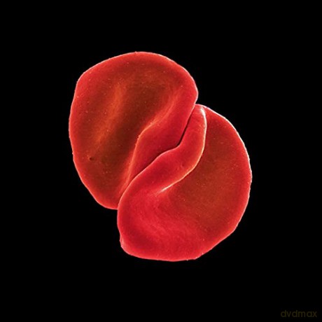 Peter Gabriel: Scratch My Back [CD]