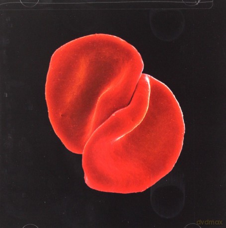 Peter Gabriel: Scratch My Back [CD]