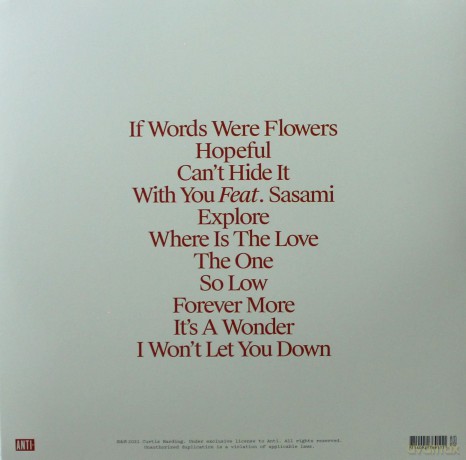 Curtis Harding: If Words Were Flowers [Winyl]