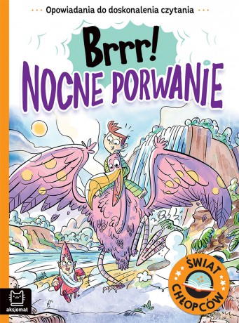 Brrr! Nocne porwanie. Opowiadania do doskonalenia czytania. Świat chłopców - Agata Giełczyńska-Jonik [KSIĄŻKA]