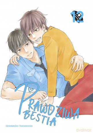 Prawdziwa bestia (Tom 12) - Kotetsuko Yamamoto [KOMIKS]