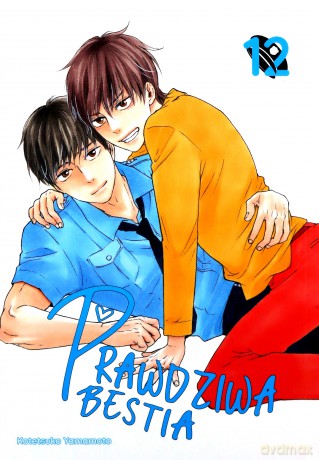 Prawdziwa bestia (Tom 12) - Kotetsuko Yamamoto [KOMIKS]